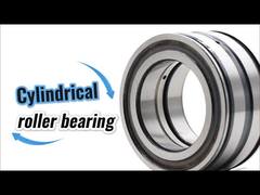 SL045010-D-PP 완전 보완형 복열 SL045010PP 원통 롤러 베어링