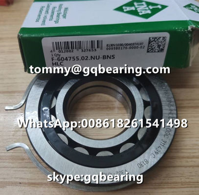 주문 자동차 실린더 롤러 베어링 VW AG INA F-604755.02.NU-BNS-HLC 강철 재료 온라인 제조