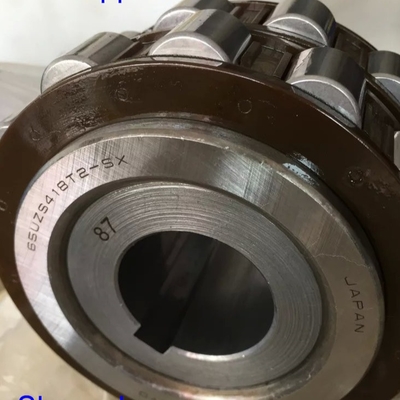65UZS418T2X-SX-87 부싱이 있는 원통 롤러 베어링 65UZS418 나일론 케이지 외진 베어링